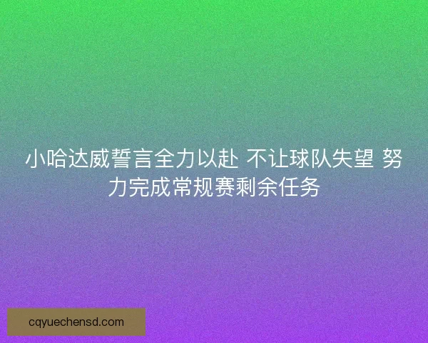 小哈达威誓言全力以赴 不让球队失望 努力完成常规赛剩余任务
